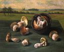 Les champignons - huile sur toile de 1977 par Henri Jannot